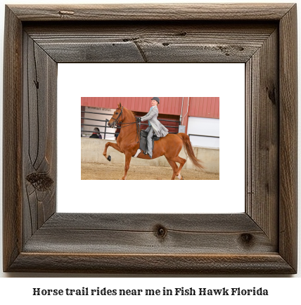 horse trail rides near me in Fish Hawk, Florida